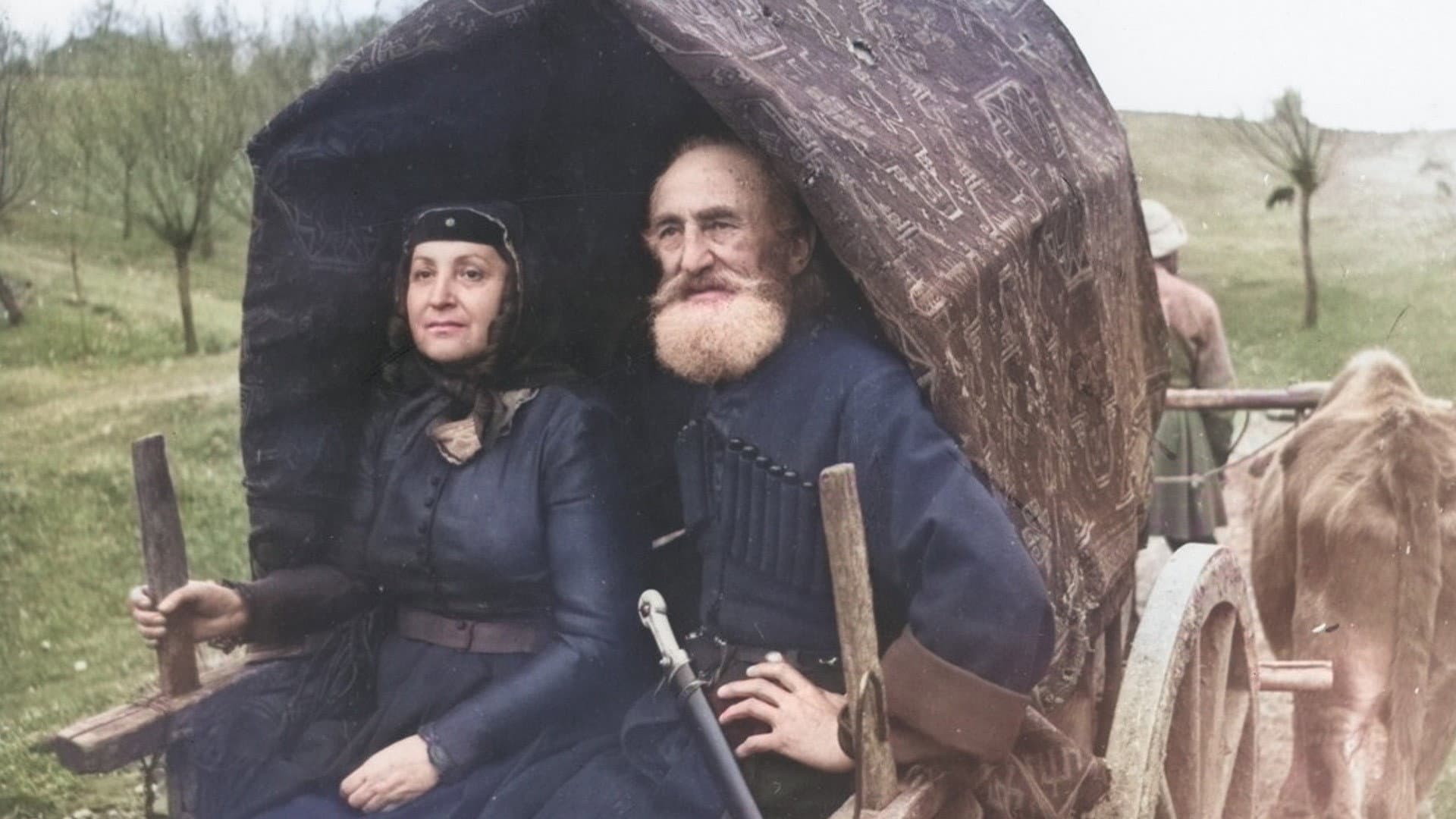 Samanishvili's Stepmother